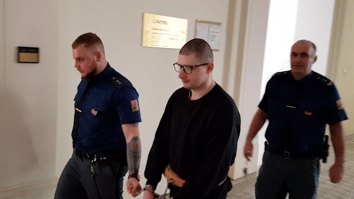 Desítkami ran ubodal v Praze řidiče taxi, aby se dostal do vězení. Vyfasoval 17,5 roku